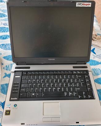 Toshiba sempre in forma