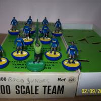 subbuteo