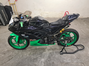 Kawasaki ninja 300 pronto pista