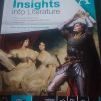 insights into literature 