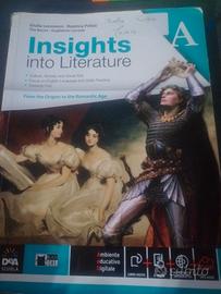 insights into literature 