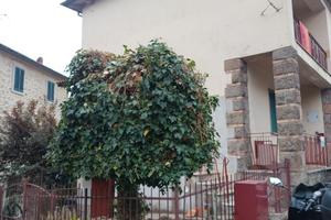 casa di montagna toscana 