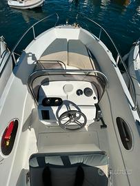 Saver 19 anno 2016 con Honda BF40E