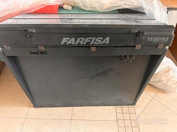 Organo elettronico Farfisa TS SERIES MIDI