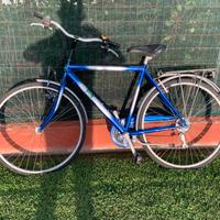 Bicicletta per adulti