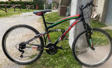 mountain bike biammortizzata