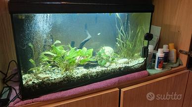 acquario 60 litri 60×30×40 come nuovo 