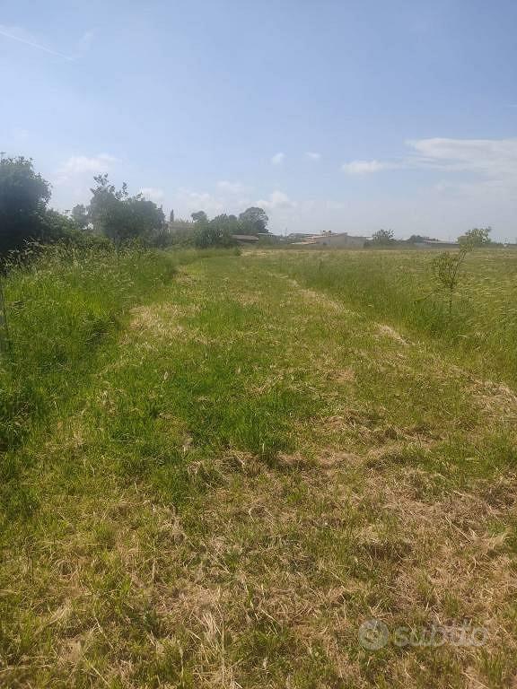 Terreno di 9500 m² a Roma - Vista 3