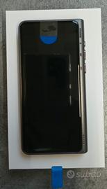 Traduttore semi professionale 