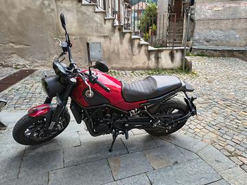 Benelli leoncino 500