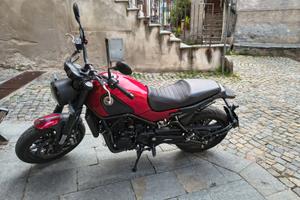 Benelli leoncino 500