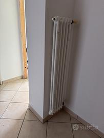 Termosifone Zehnder tubolare ad acqua