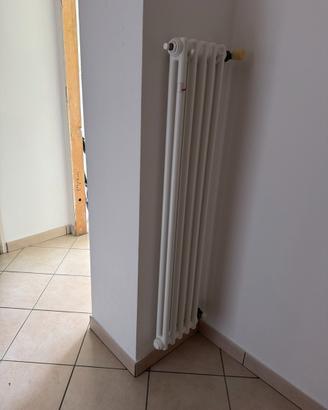 Termosifone Zehnder tubolare ad acqua