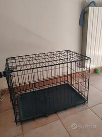 Kennel per cani