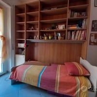 libreria usata ampia e spaziosa