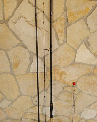 Canna Feeder Inglese