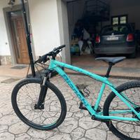 bianchi