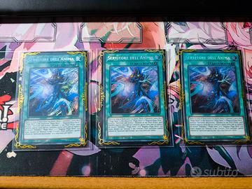 Servitore dell'Anima