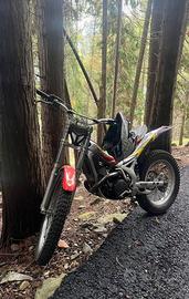 Trial beta 300cc