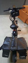 Bad bike 250W