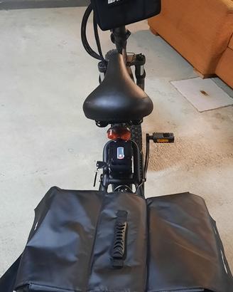 Bad bike 250W