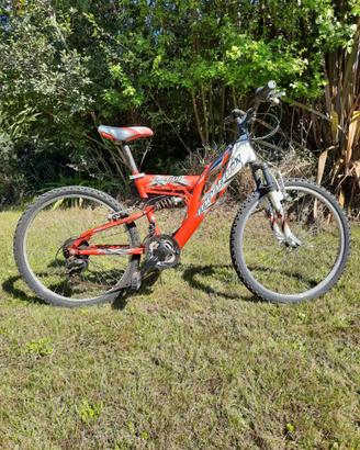 bicicletta