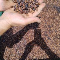 NOCCIOLINO PER STUFE