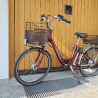 E-Bike Citybike World Dimension Crystal 36V