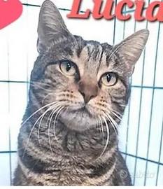 Femmina - 2 anni circa