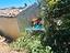 Immagine 15