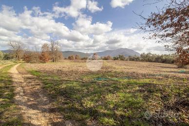 TER. AGRICOLO A MORICONE