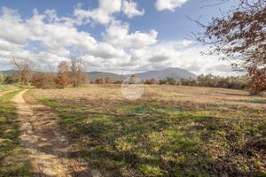 TER. AGRICOLO A PALOMBARA SABINA