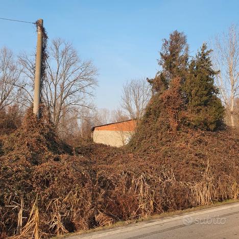 Trino VC capannone fronte strada1000 mq e terreno