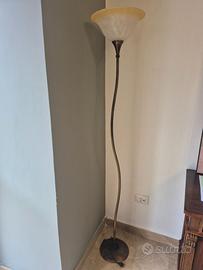 Piantana elegante classica