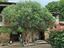 Immagine 26
