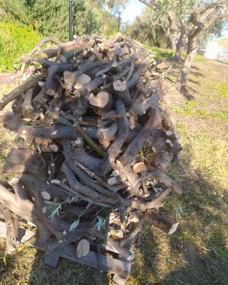 legna uliveto