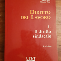 Diritto del lavoro, diritto sindacale
