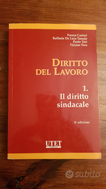 Diritto del lavoro, diritto sindacale