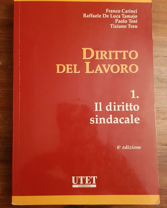 Diritto del lavoro, diritto sindacale