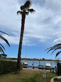 Villa fronte darsena con posto barca Laghi Sibari