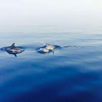 Casa vacanze pianoterra 50m dal mare