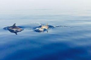 Casa vacanze pianoterra 50m dal mare