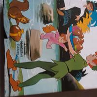 Peter Pan libro