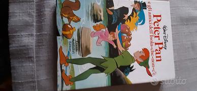 Peter Pan libro