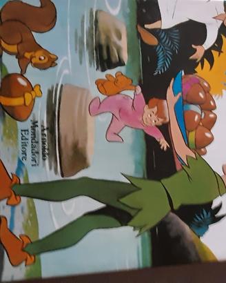 Peter Pan libro