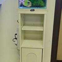 Mini acquario con supporto