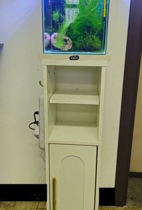 Mini acquario con supporto