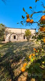 Casale immerso nel verde con ampio terreno