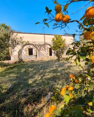 Casale immerso nel verde con ampio terreno