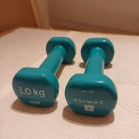 Set di pesi manubri palestra 1 kg